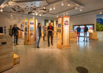 Ausstellung der Bündner Pärke - 1