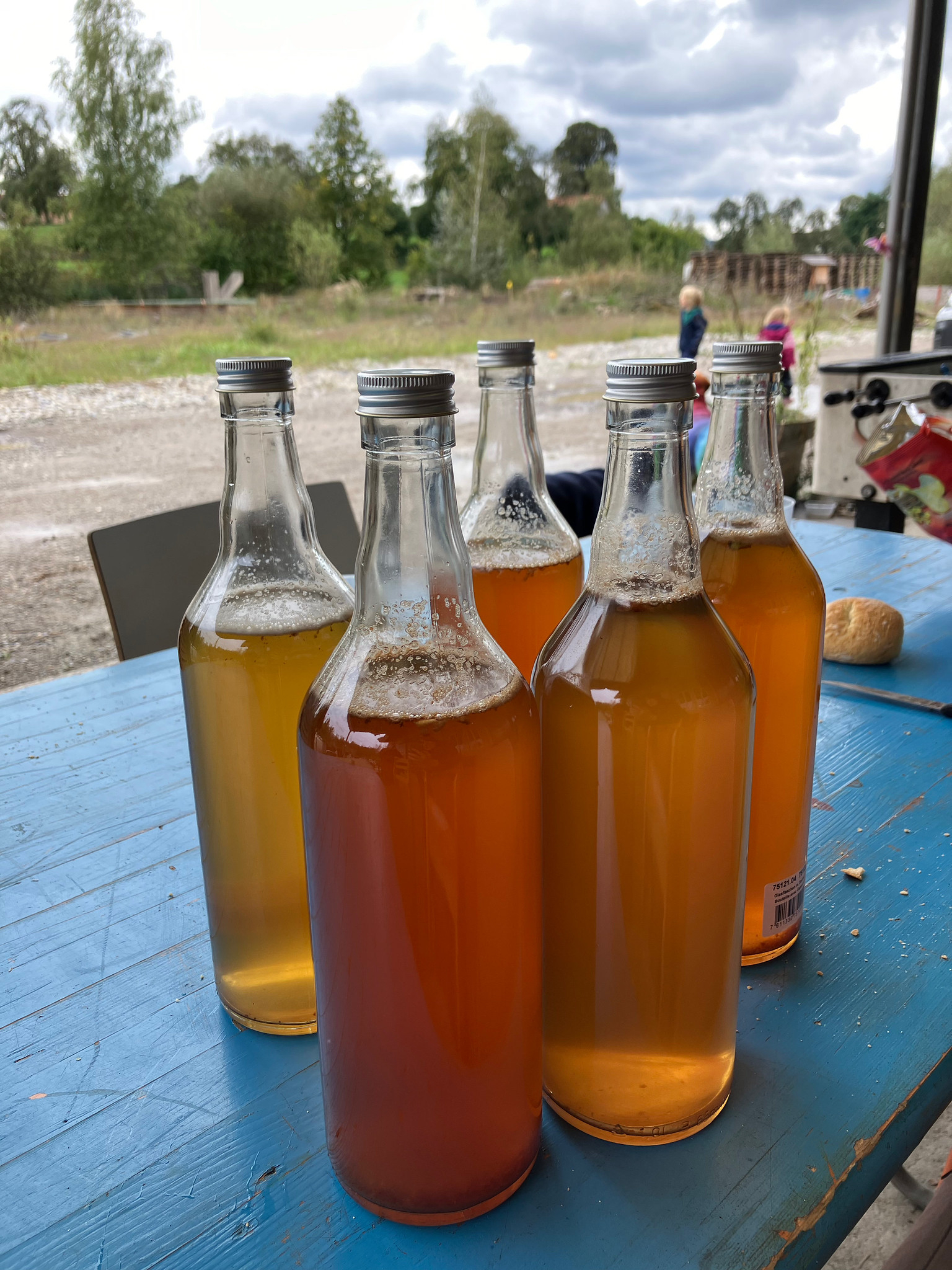 DIY-Mostanlage – Apfelsaft selber pressen