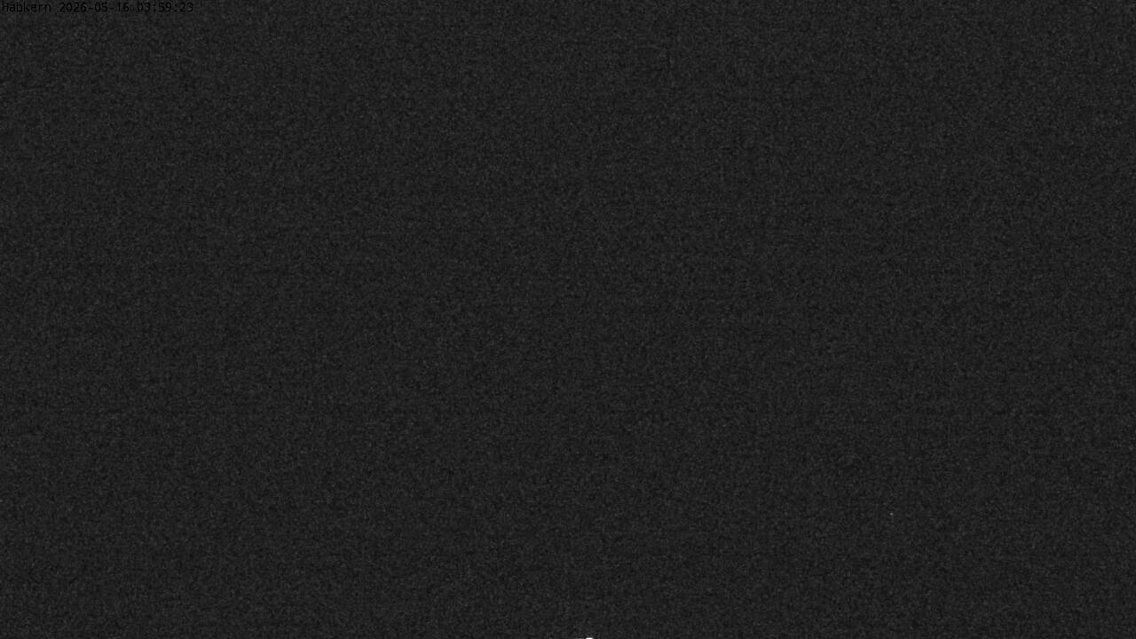 32h ago - 04:01