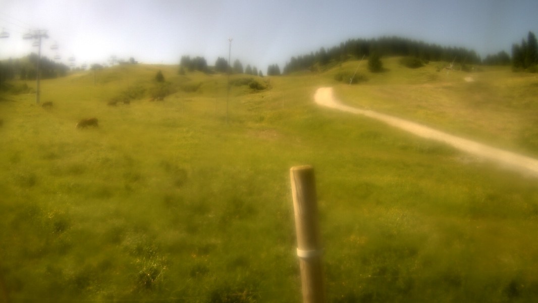 20h ago - 11:00