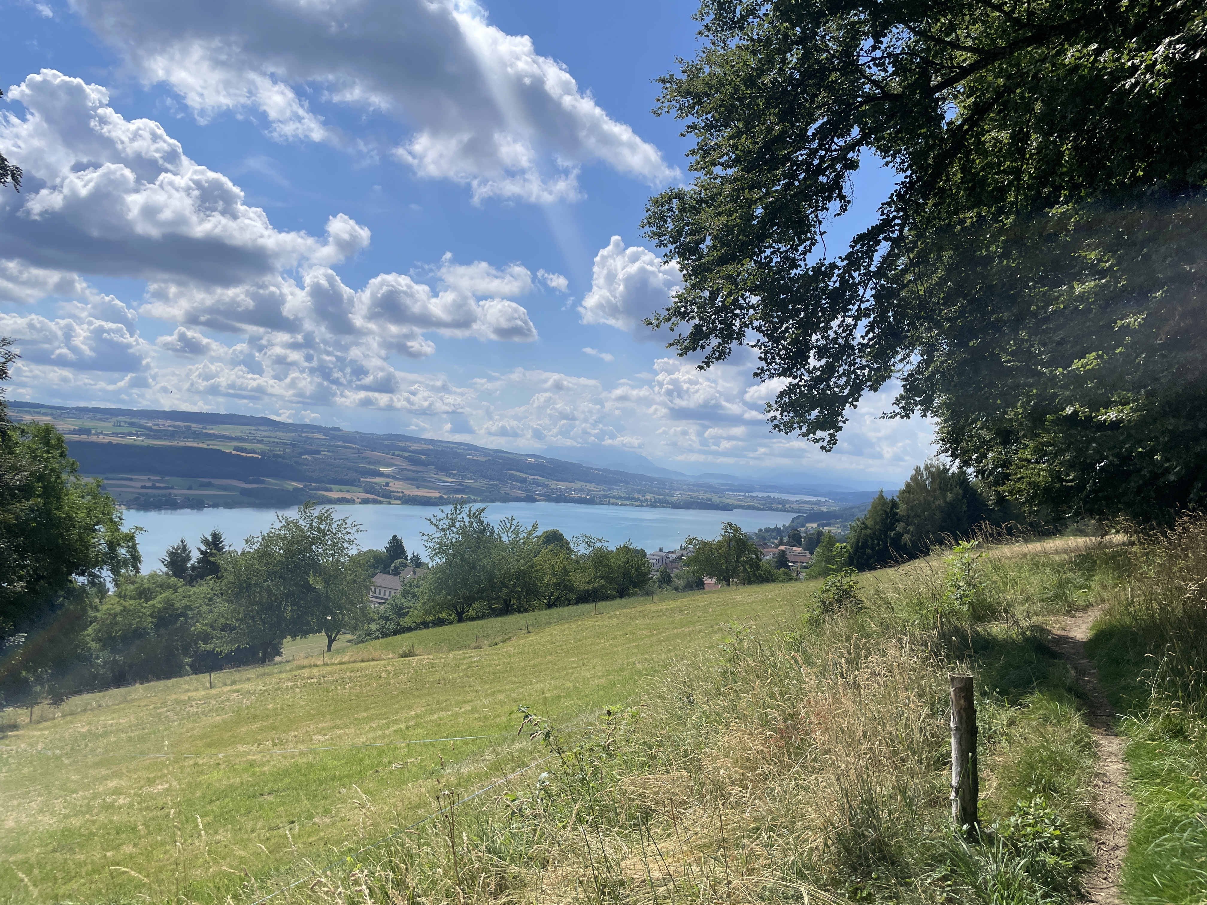 Jahrgängerverein Dübendorf, Oktober Wanderung Raum Hallwilersee
