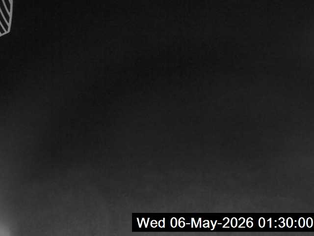 8h ago - 01:30