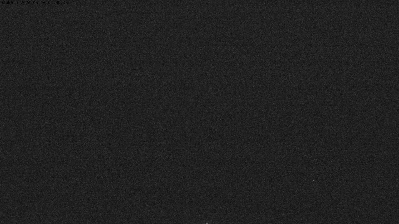 32h ago - 04:31