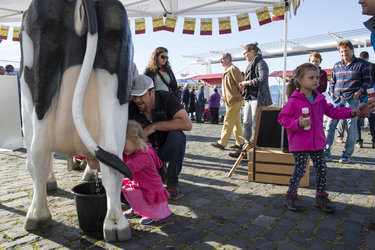 Käsefest Rapperswil-Jona