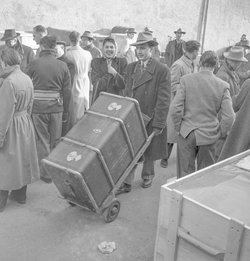 Ein Schweizer Paar, das nach Australien auswandern will, trifft mit seinem Gepäck im Abgangslager in Büren am Albis ein, undatierte Aufnahme. © Keystone, Photopress-Archiv