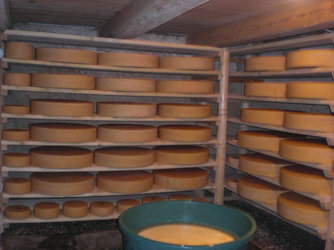 Biohof Breitenackern - 1