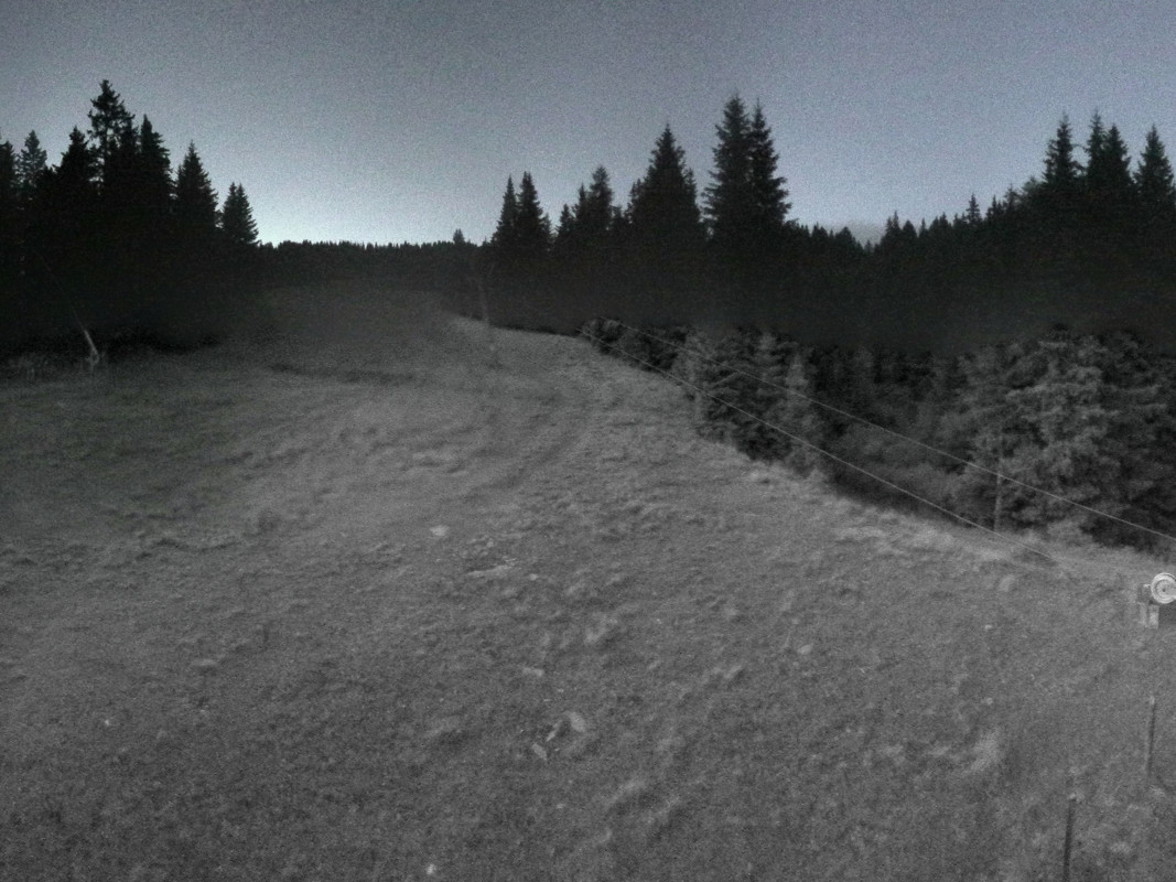 11h ago - 22:02