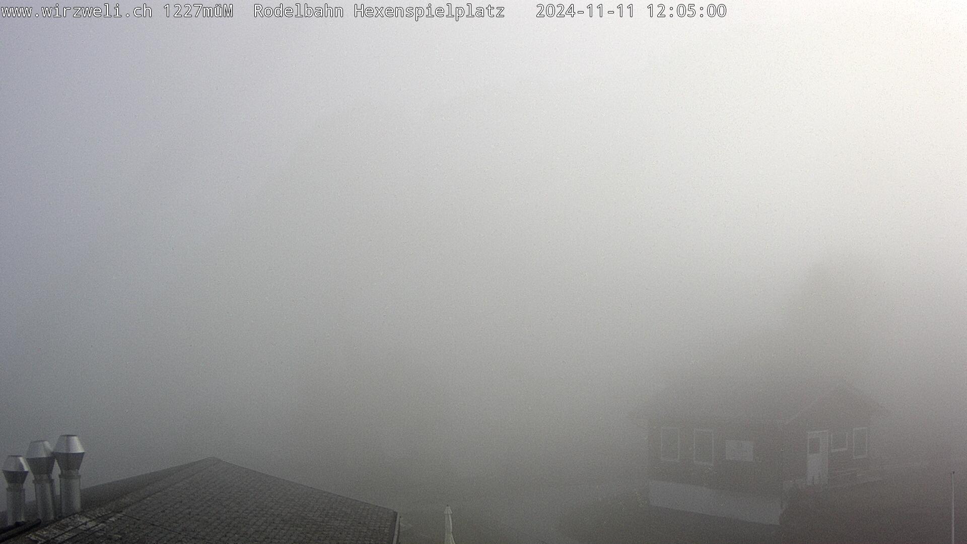 11.11.2024 12:05