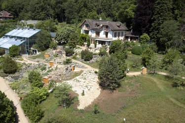 Botanic garden