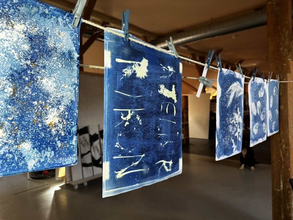 Cyanotypie Workshop - Entdecke die Kunst des Blaudrucks