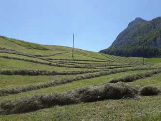Hofladen Balmhof - 1