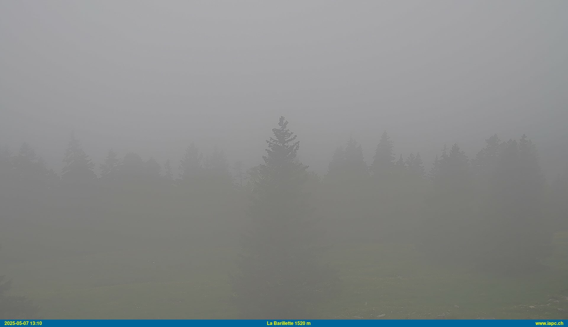 43h ago - 13:11