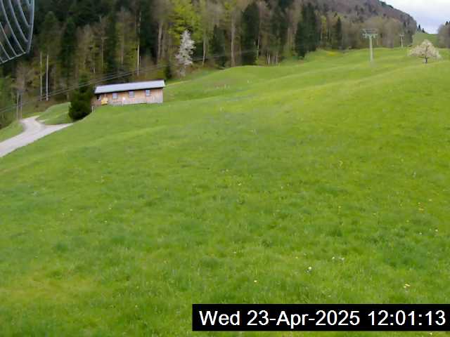 23.04.2025 12:01