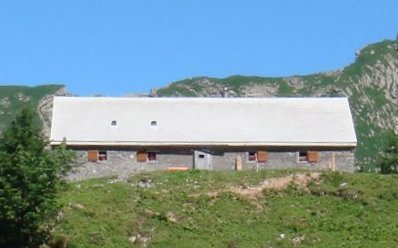 boosbiobeef - 1