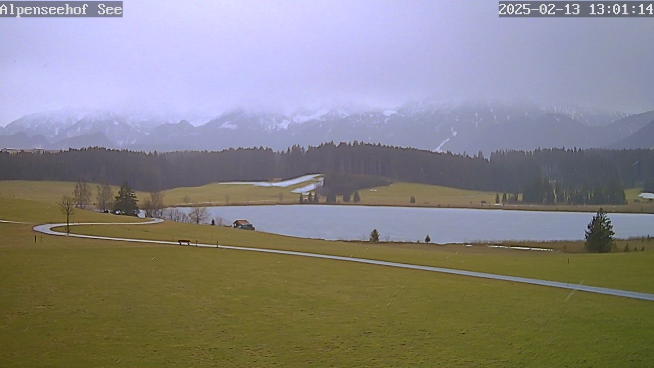 13.02.2025 12:01
