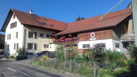 Hofladen Balmhof - 1