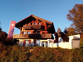 out Chalet dogs