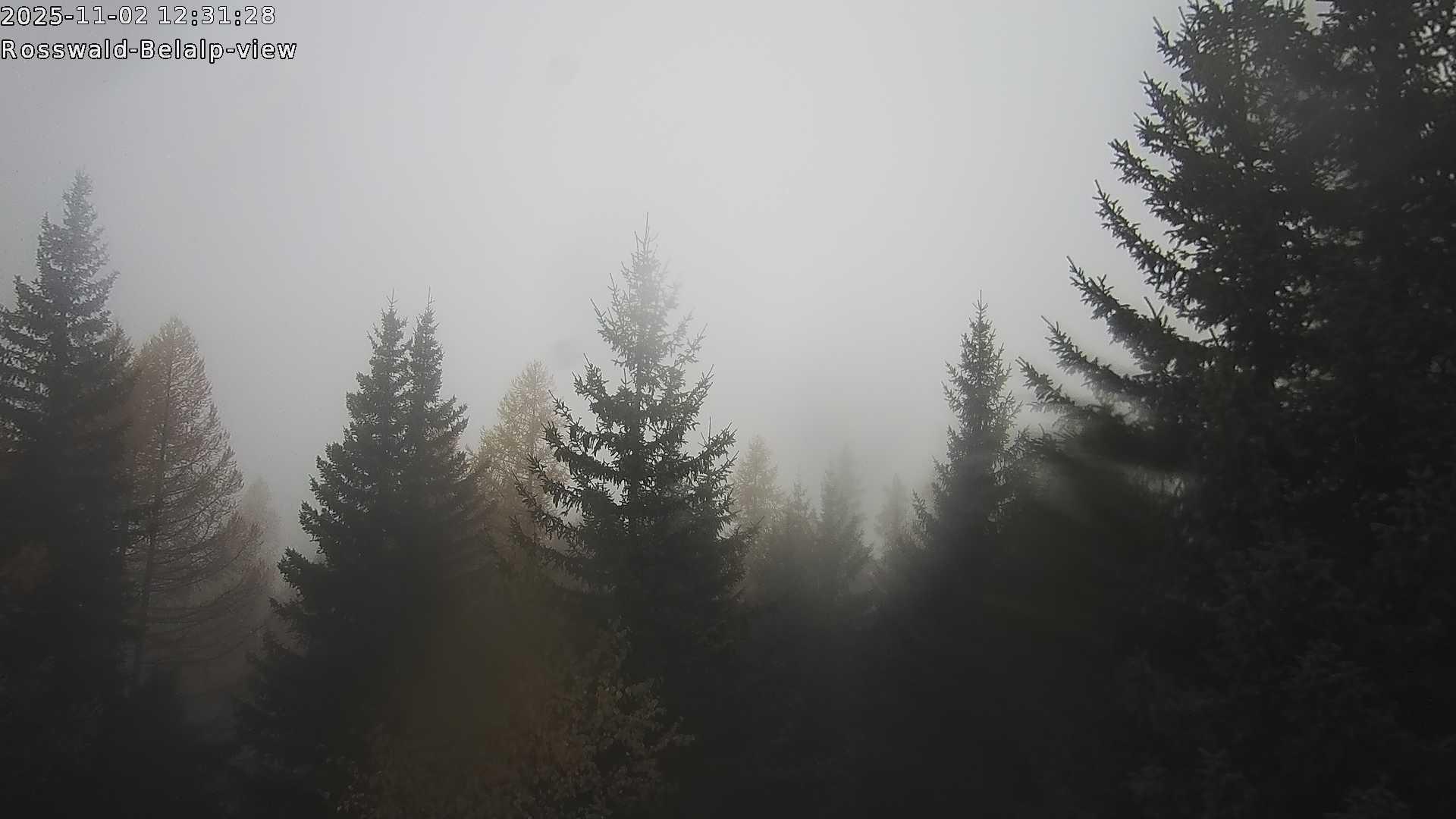 Rovaniemi: Lordin Aukio