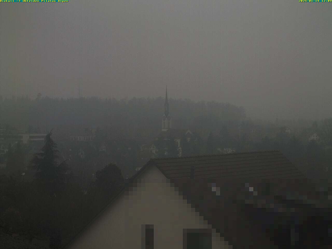 19.01.2025 12:09