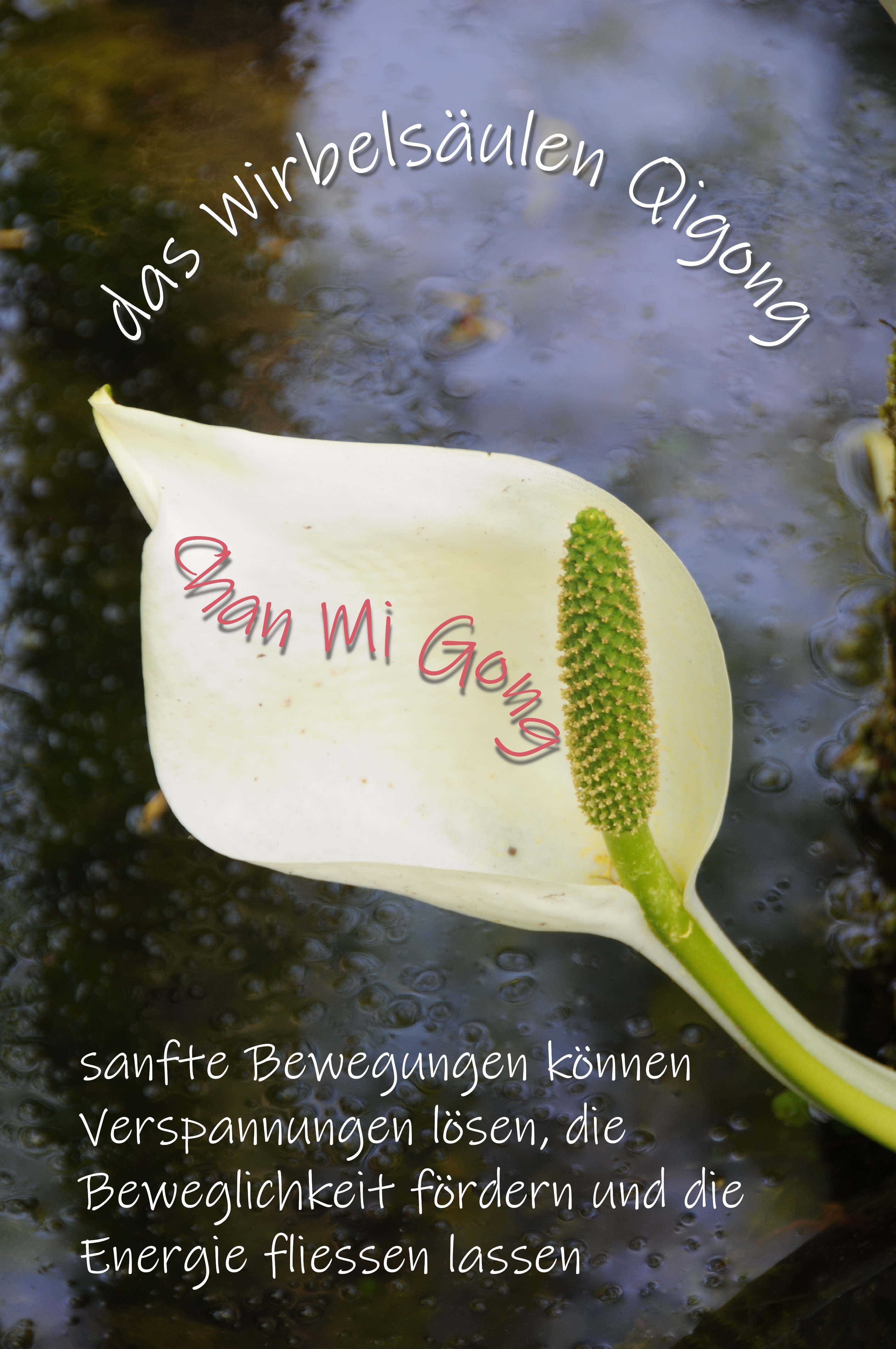 Qigong / Chan MiGong