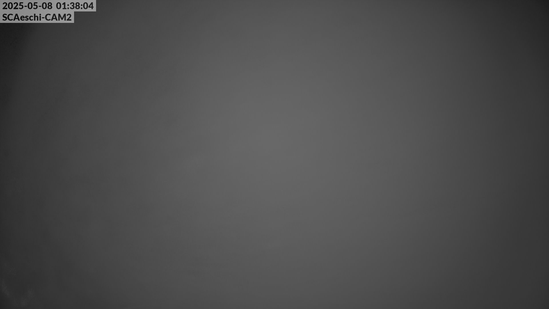 42h ago - 01:38