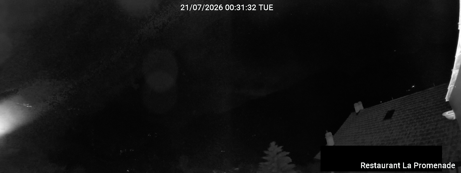 41h ago - 01:31