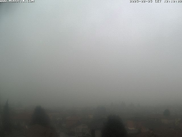 25.02.2025 12:12