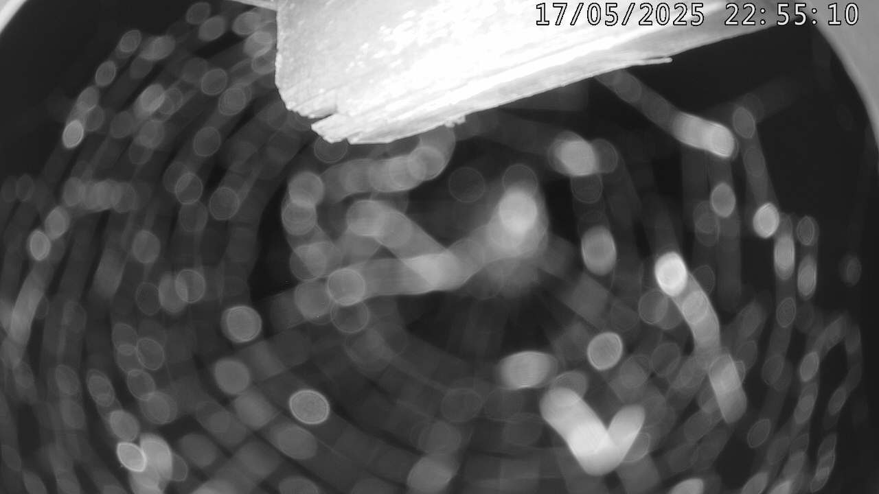 8h ago - 22:55