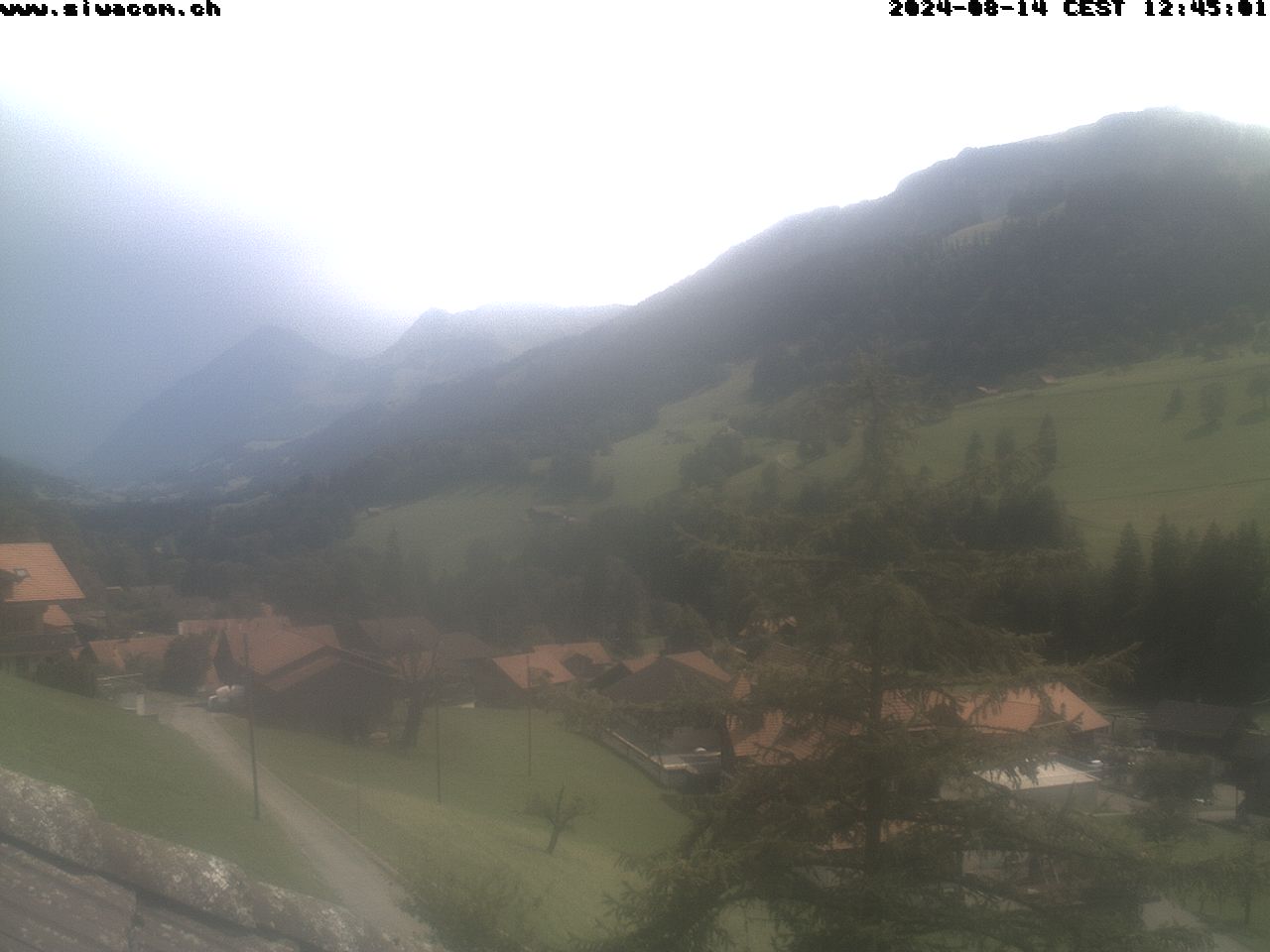 14.08.2024 12:45