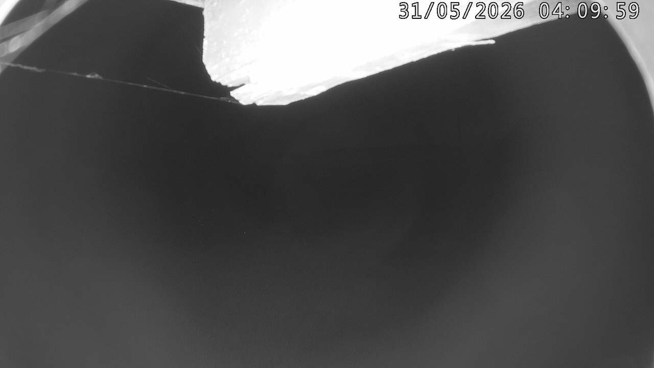 14h ago - 04:10