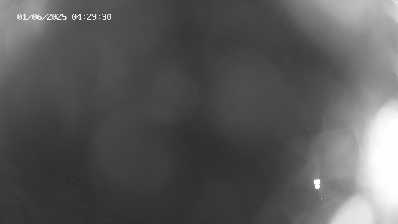 14h ago - 04:30