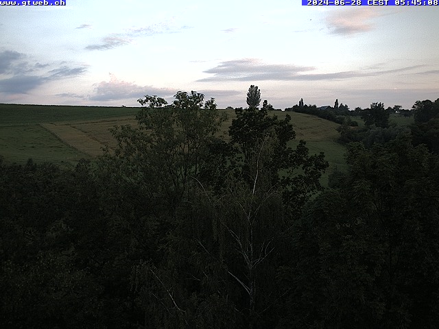 28.06.2024 06:10
