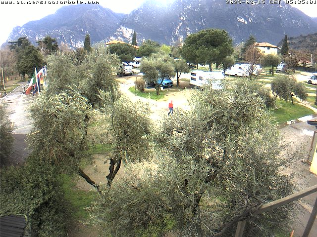15.03.2025 08:06