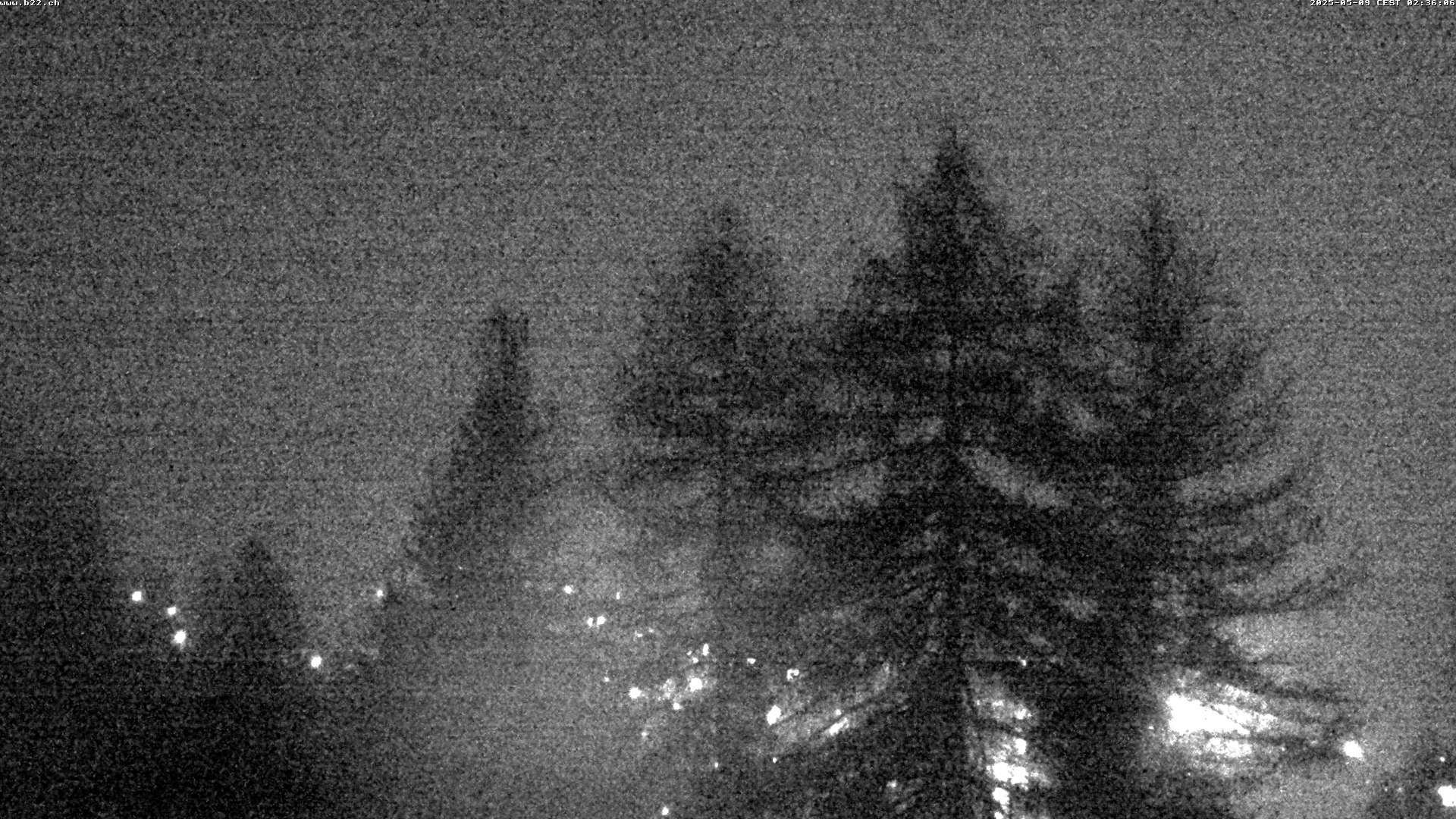 23h ago - 02:40