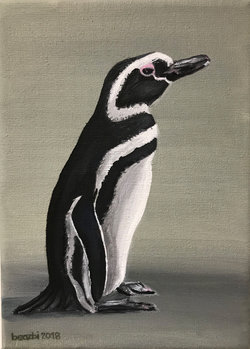 Magellanpinguin, Oel auf Leinwand, 13 x 18 cm