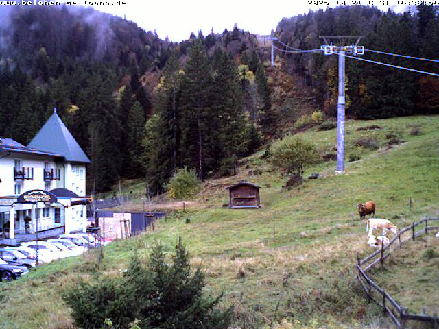 40h ago - 13:31