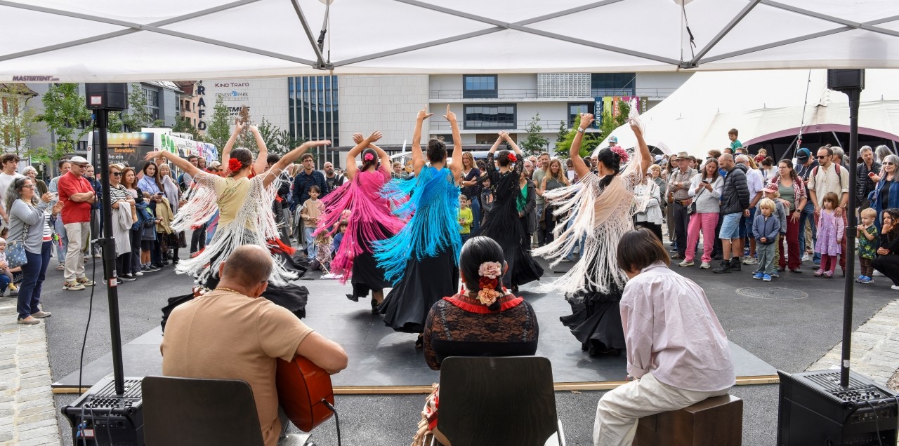Titelbild des Events: Stadtpicknick meets Foodsave-Bankett 2026