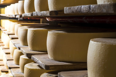 cheese-festival - Käsefest Appenzell