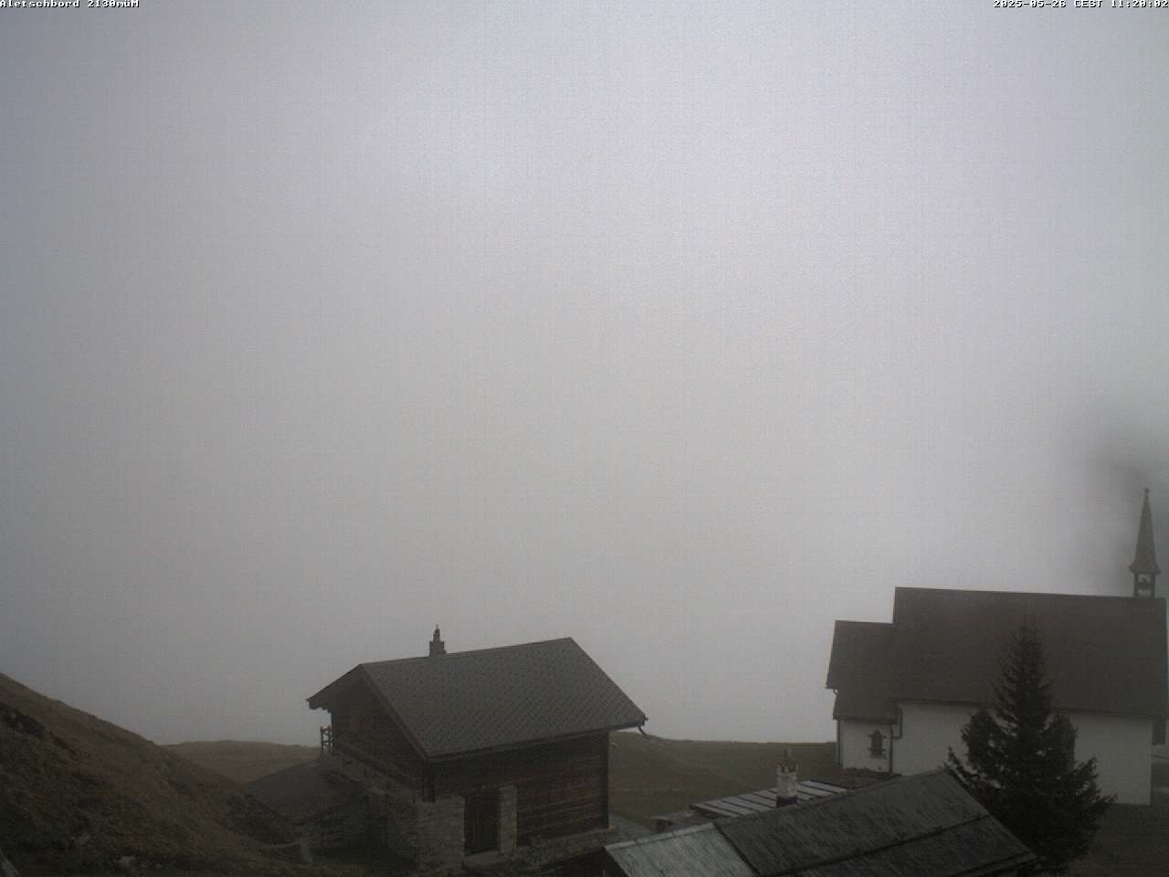 26.05.2025 12:06