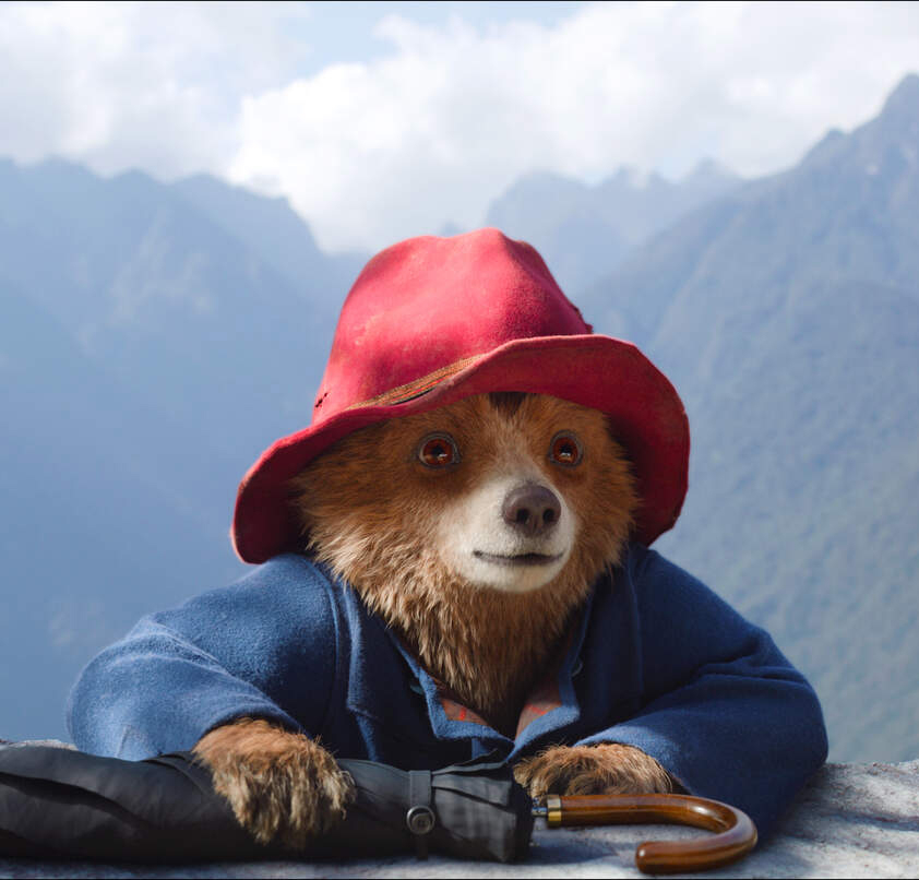 Paddington in Peru