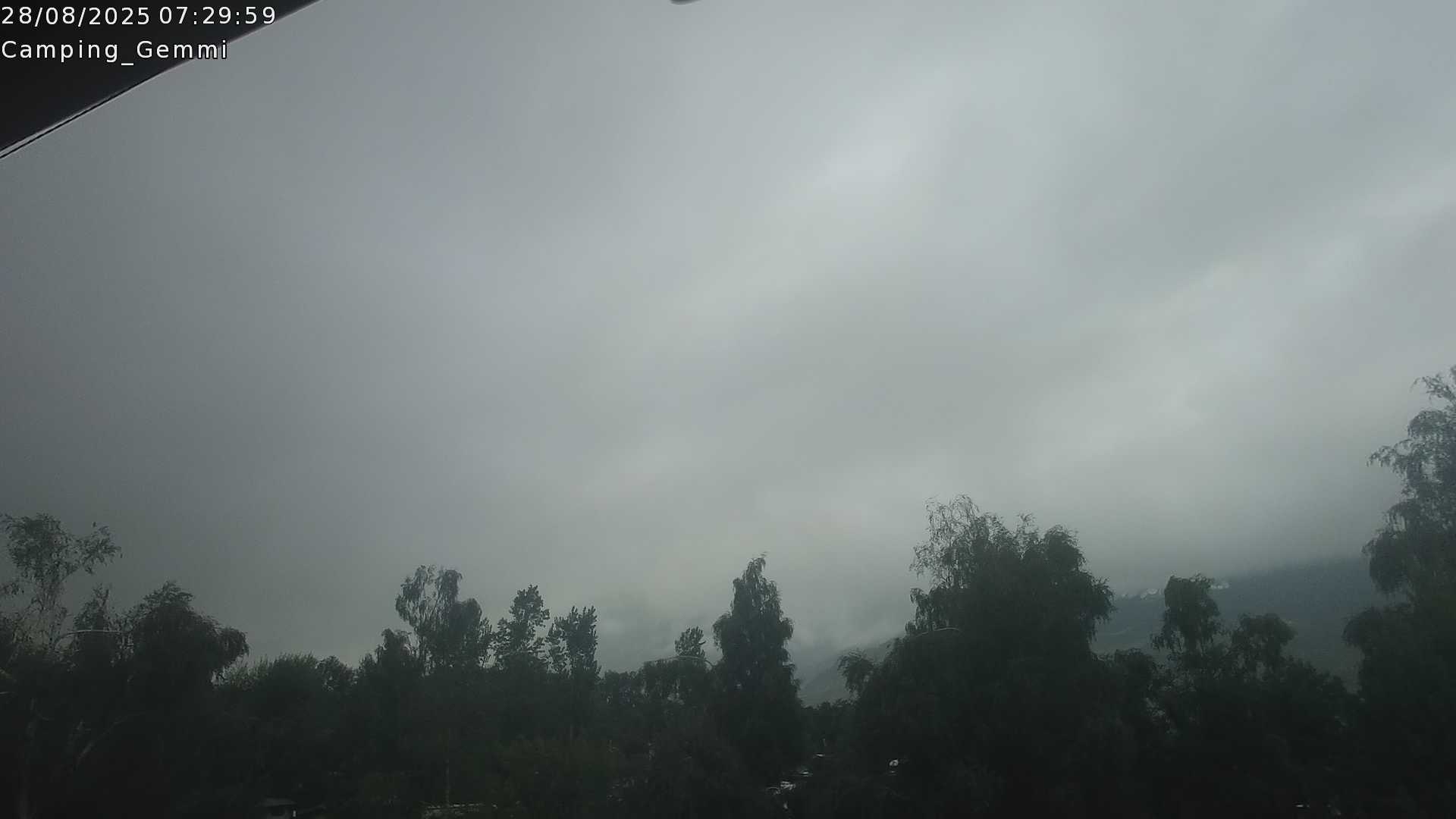 13h ago - 07:31
