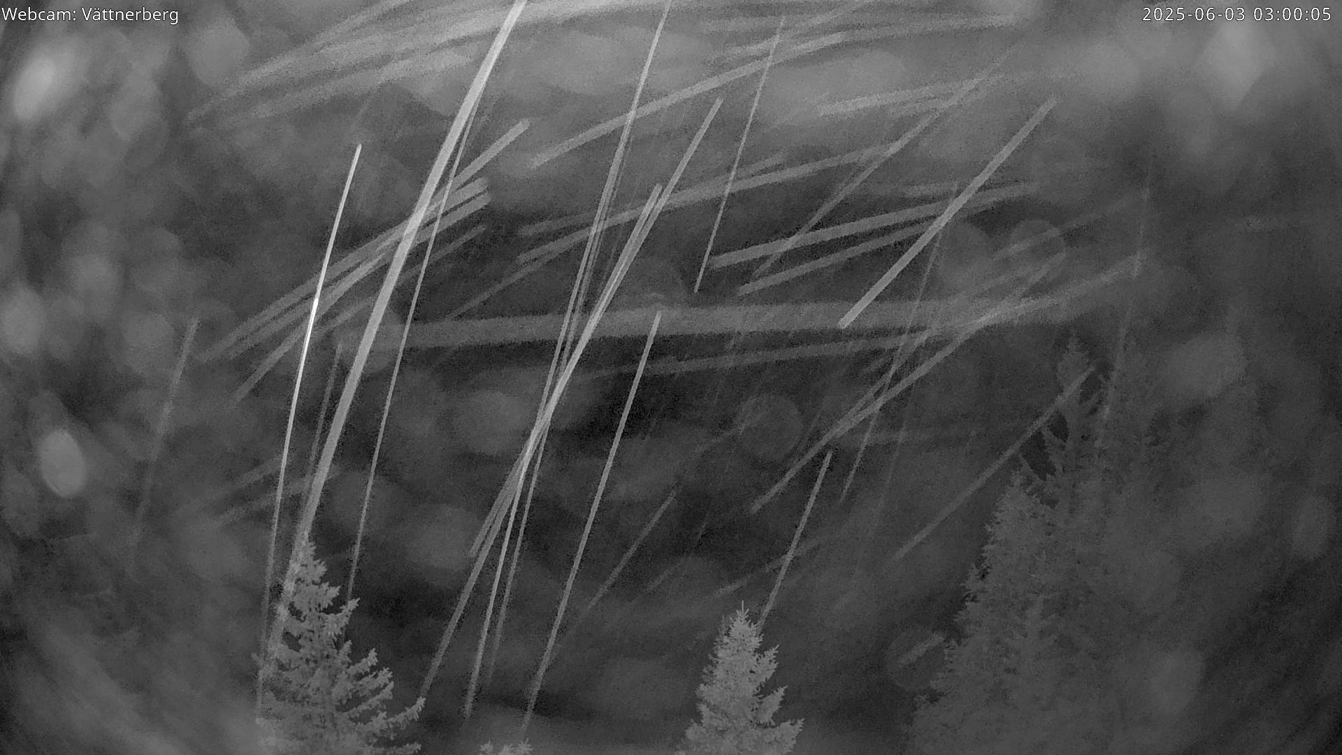 Rovaniemi: Lordin Aukio