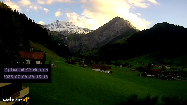 33h ago - 20:15