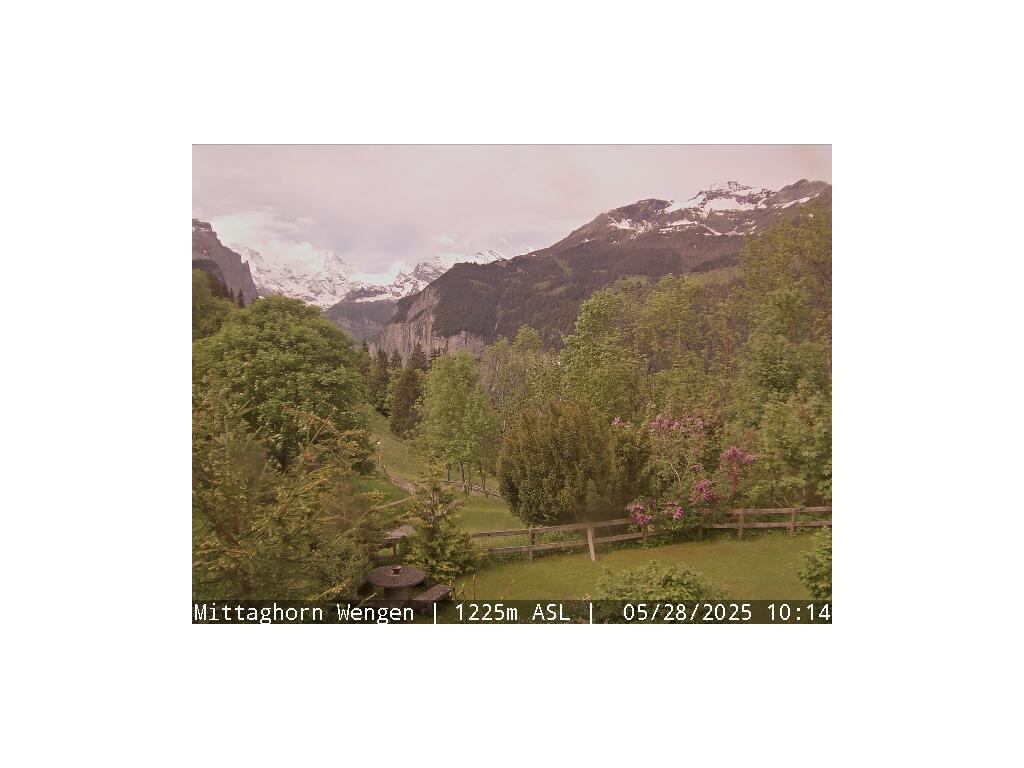 20h ago - 11:46