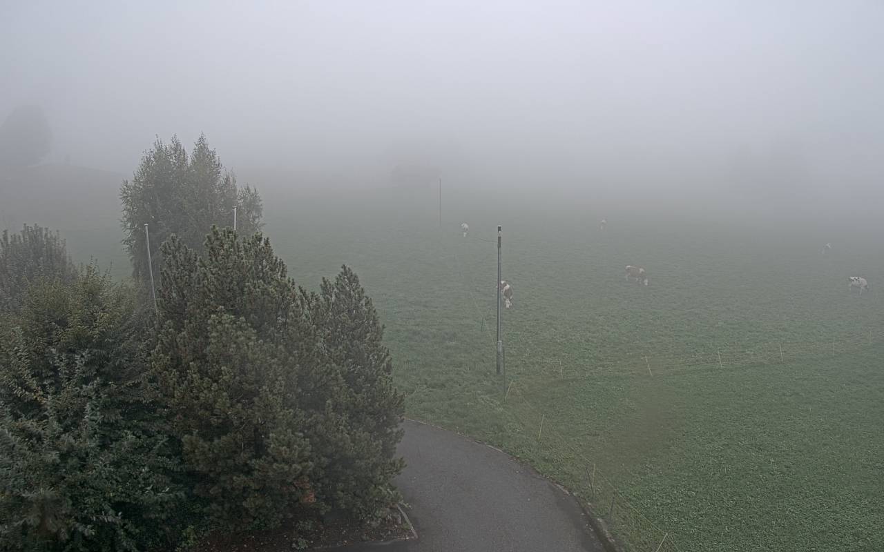 6h ago - 15:25