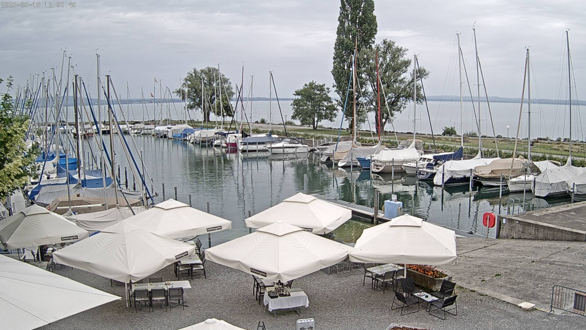 7h ago - 12:05