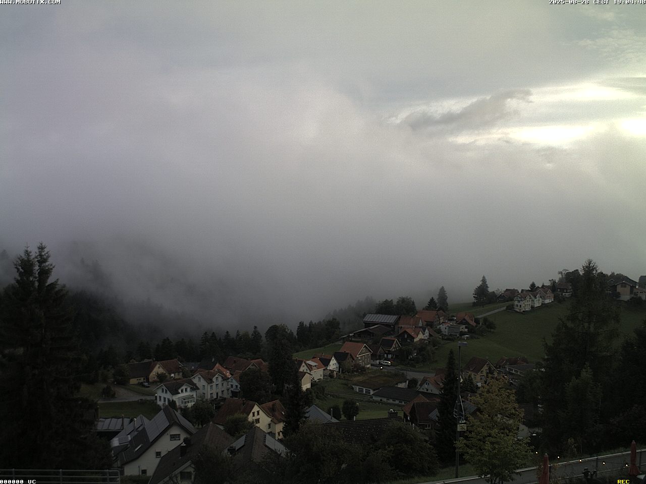 7h ago - 19:04