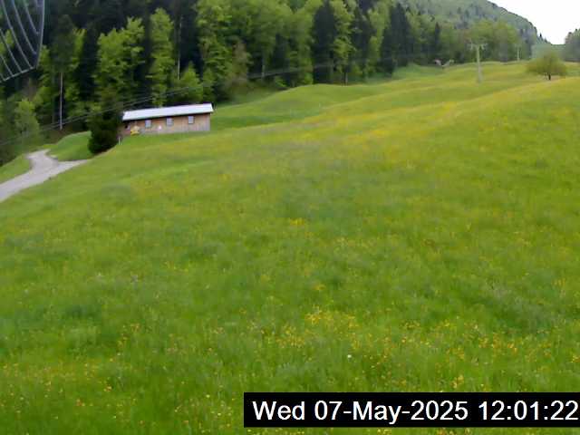 07.05.2025 12:01