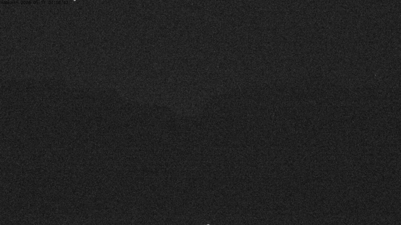 8h ago - 04:01