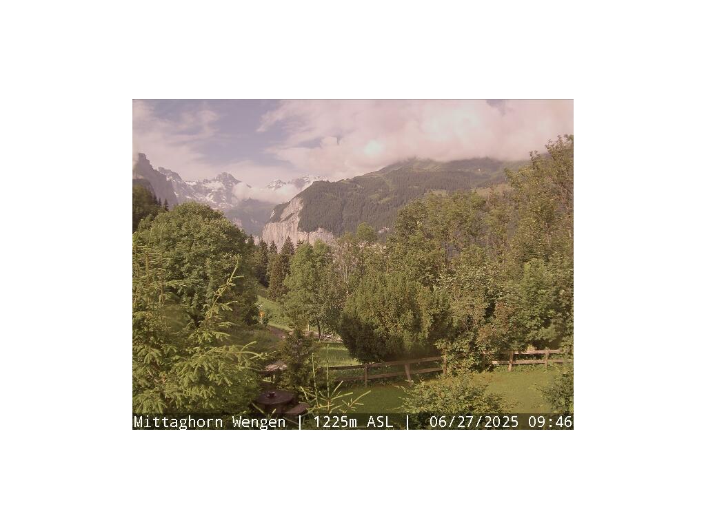 19h ago - 11:15